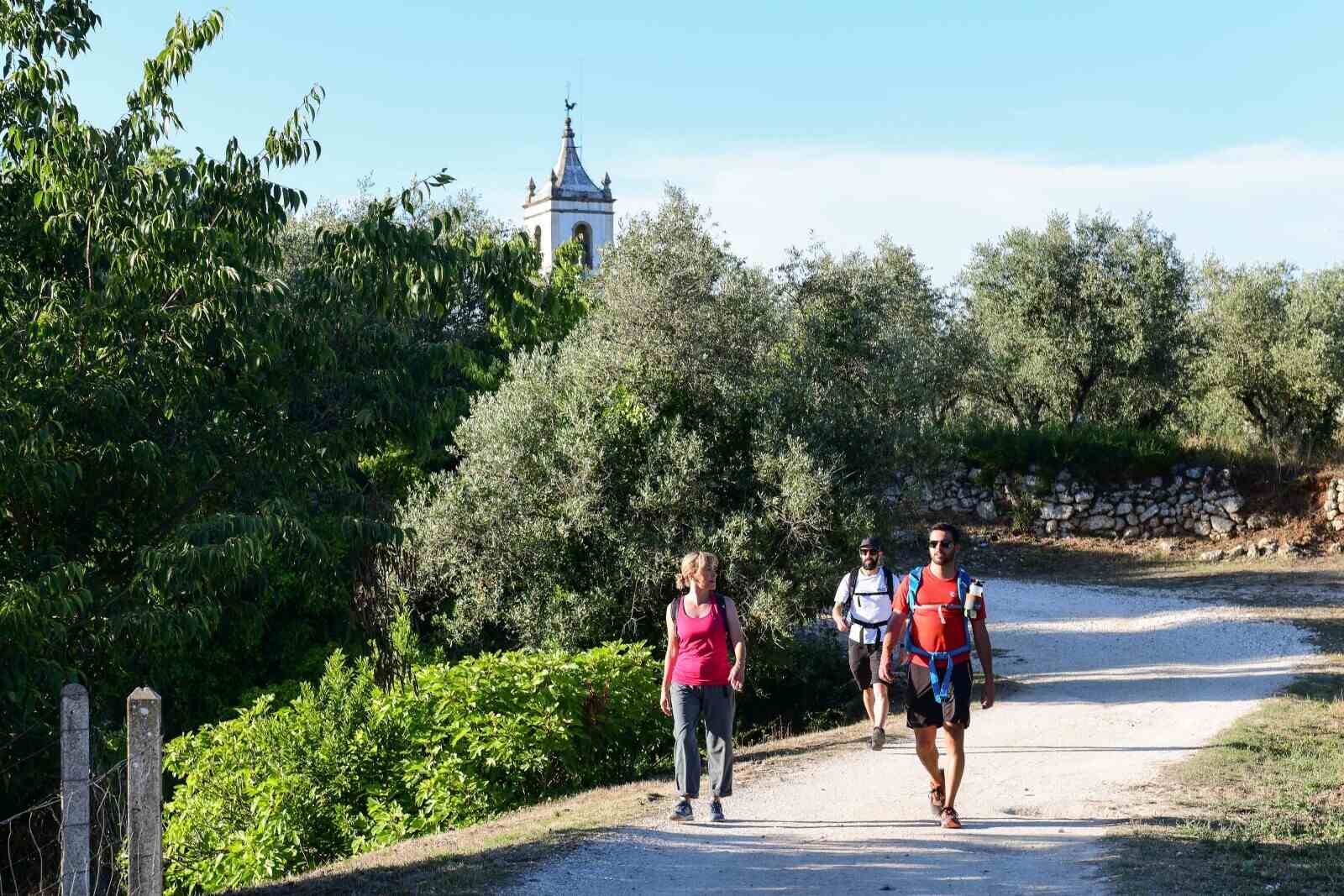 Itinerary photo: Carmelita Route on foot from Coimbra to Fátima: 6 stages